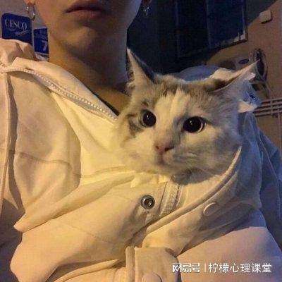 玄元剑仙魅族版下载
